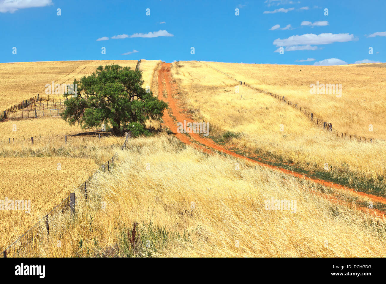 Wheat farming in the mid north of South Australia Stock Photo