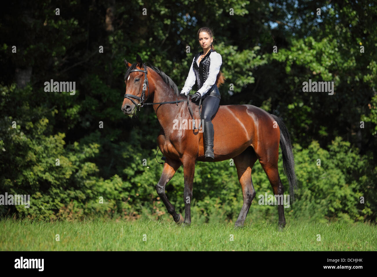 Portrait of young and pretty female unsaddle horse rider Stock Photo