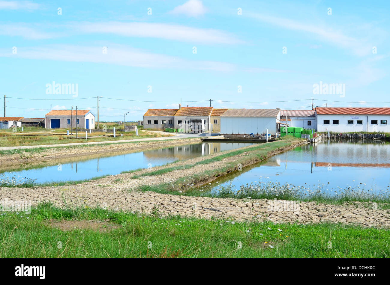 Site ostréicole oyster farming at Brouage, Charente Maritime, France Stock Photo
