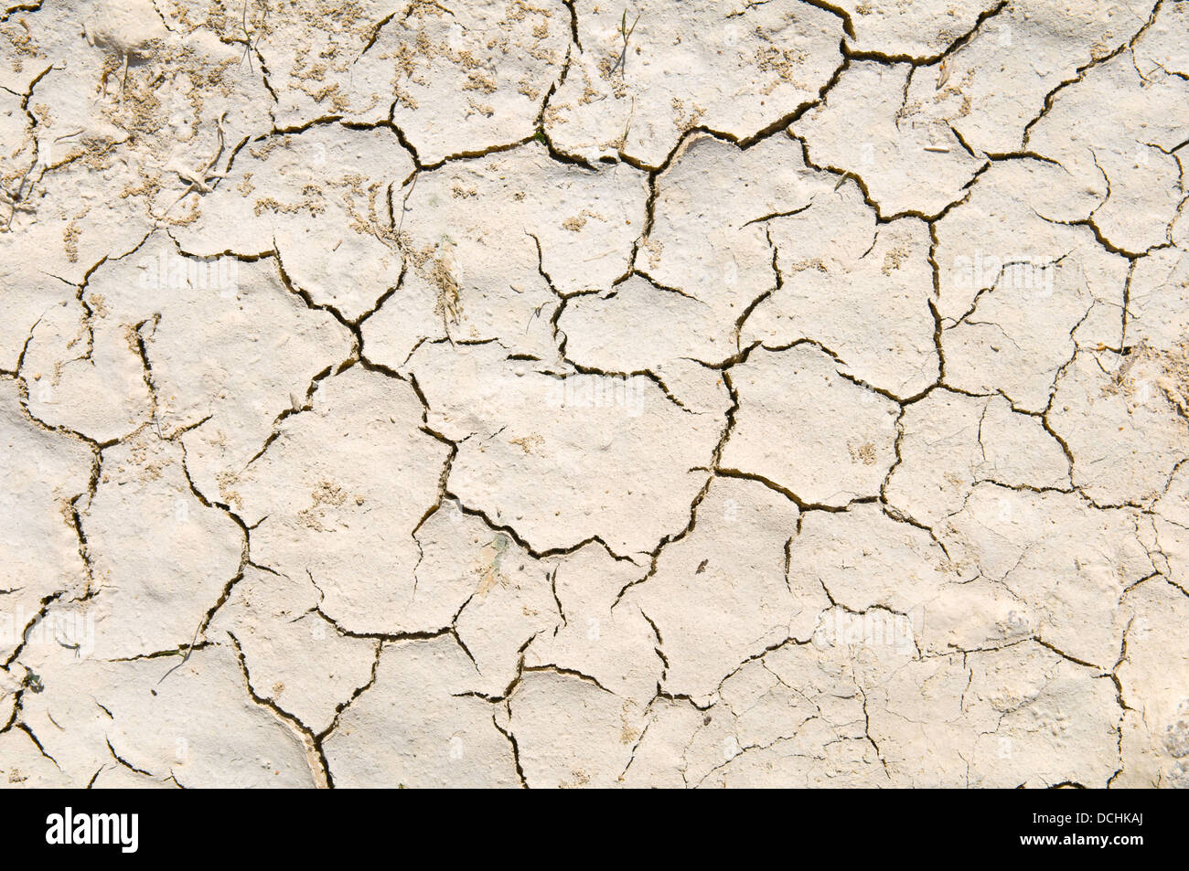 drought ground texture Stock Photo
