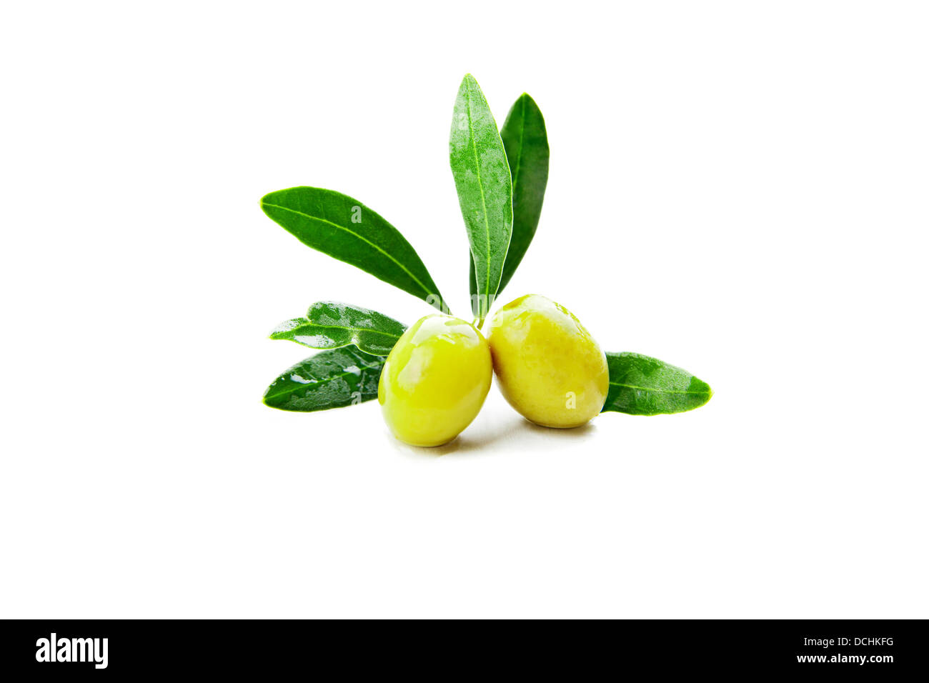 Olives with leaves on branch isolated on a white background Stock Photo