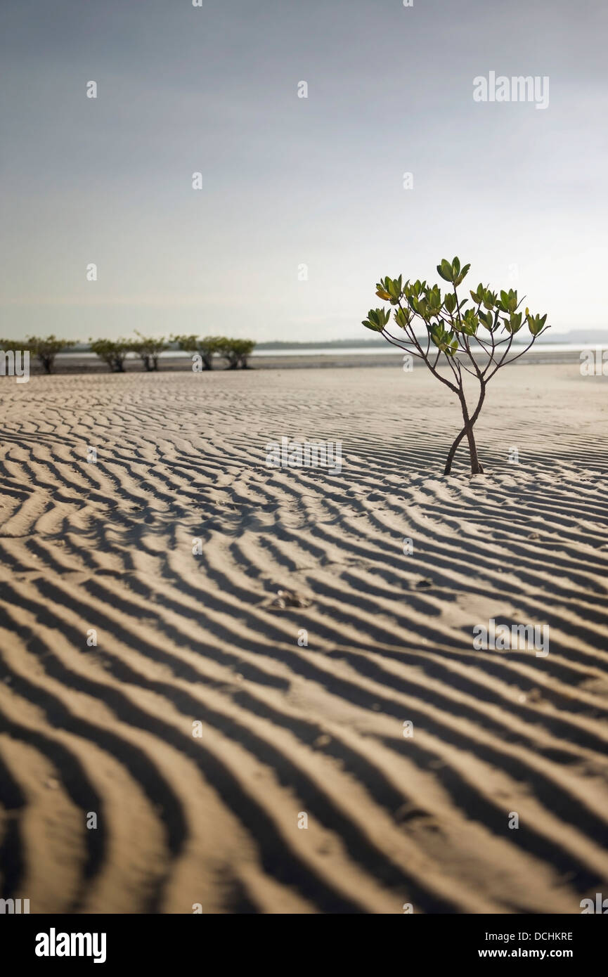 Sand ridges hi-res stock photography and images - Alamy