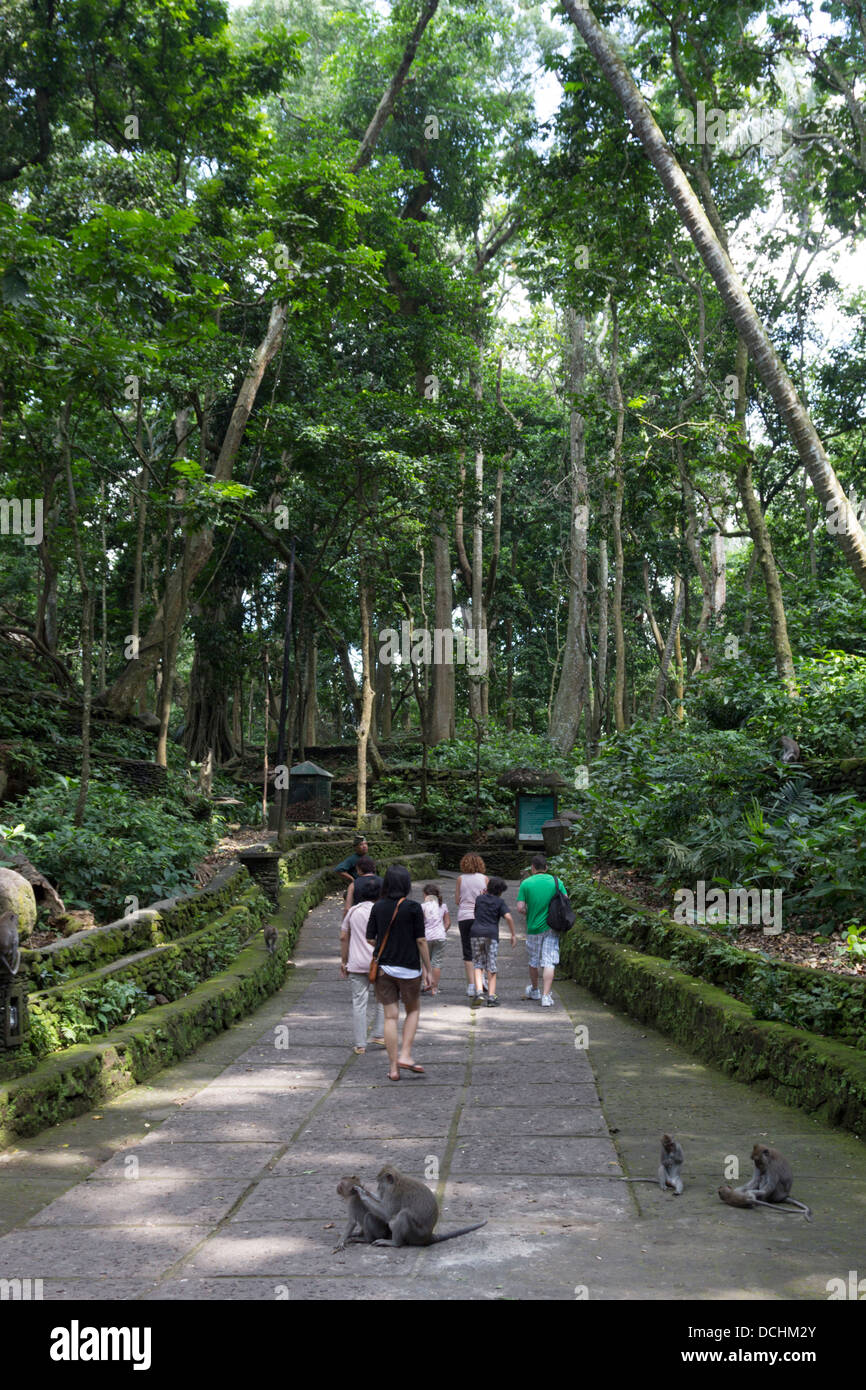 Sacred Monkey Forest of Padangtegal - Ubud - Bali Stock Photo