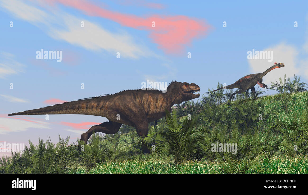 T rex hunting hi-res stock photography and images - Alamy