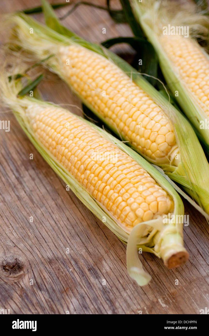 Corn Stock Photo