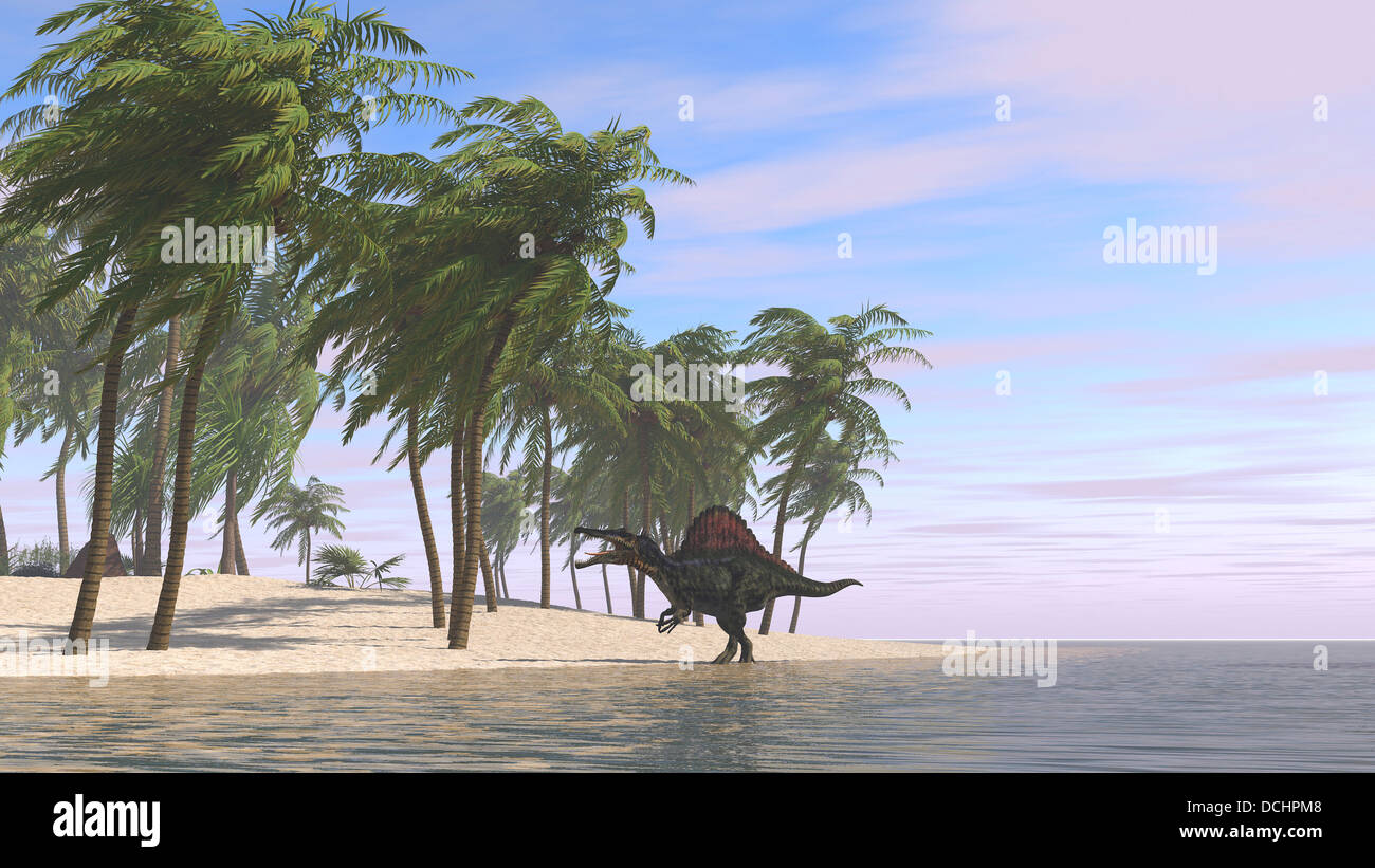 Spinosaurus roaming along the shoreline. Stock Photo