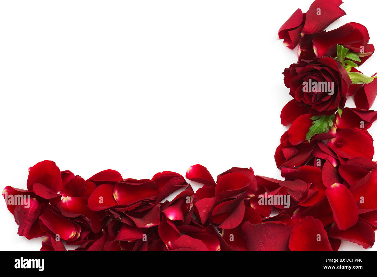 frame of red rose petals Stock Photo - Alamy
