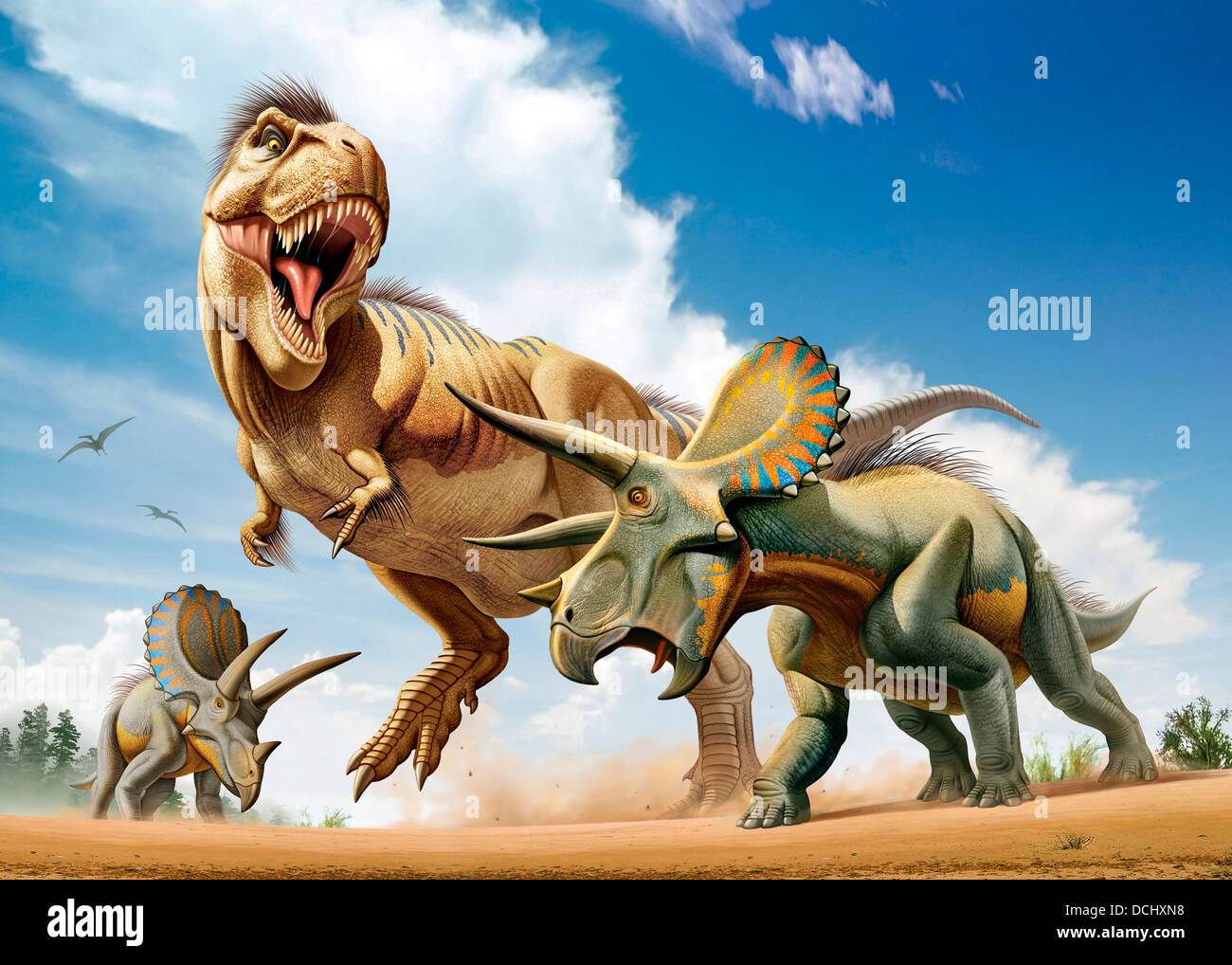 Tyrannosaurus Rex fighting with two Triceratops while trying to hunt them. Stock Photo