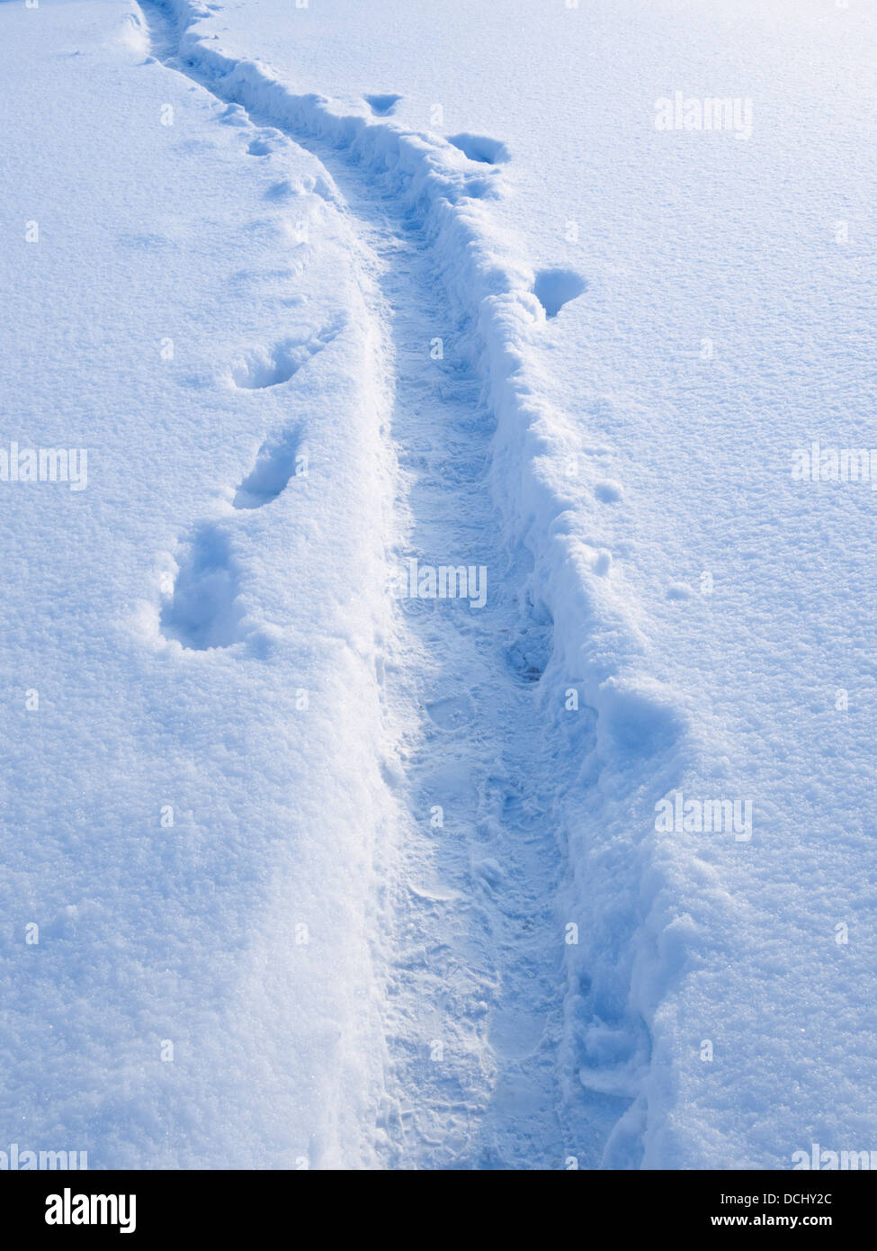 winter pathway on fresh snow field Stock Photo