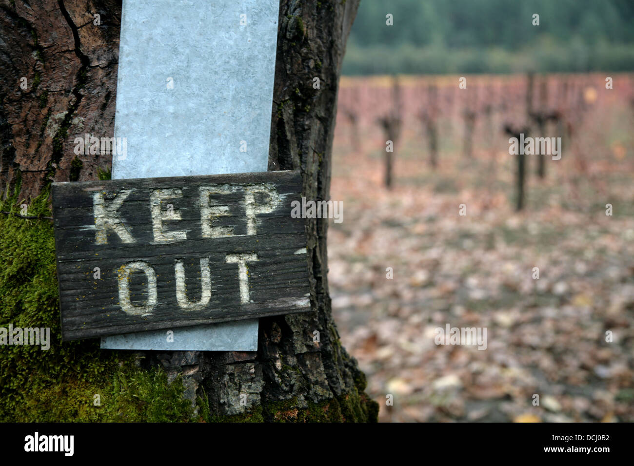 Keep Out Sign, Napa Valley Stock Photo