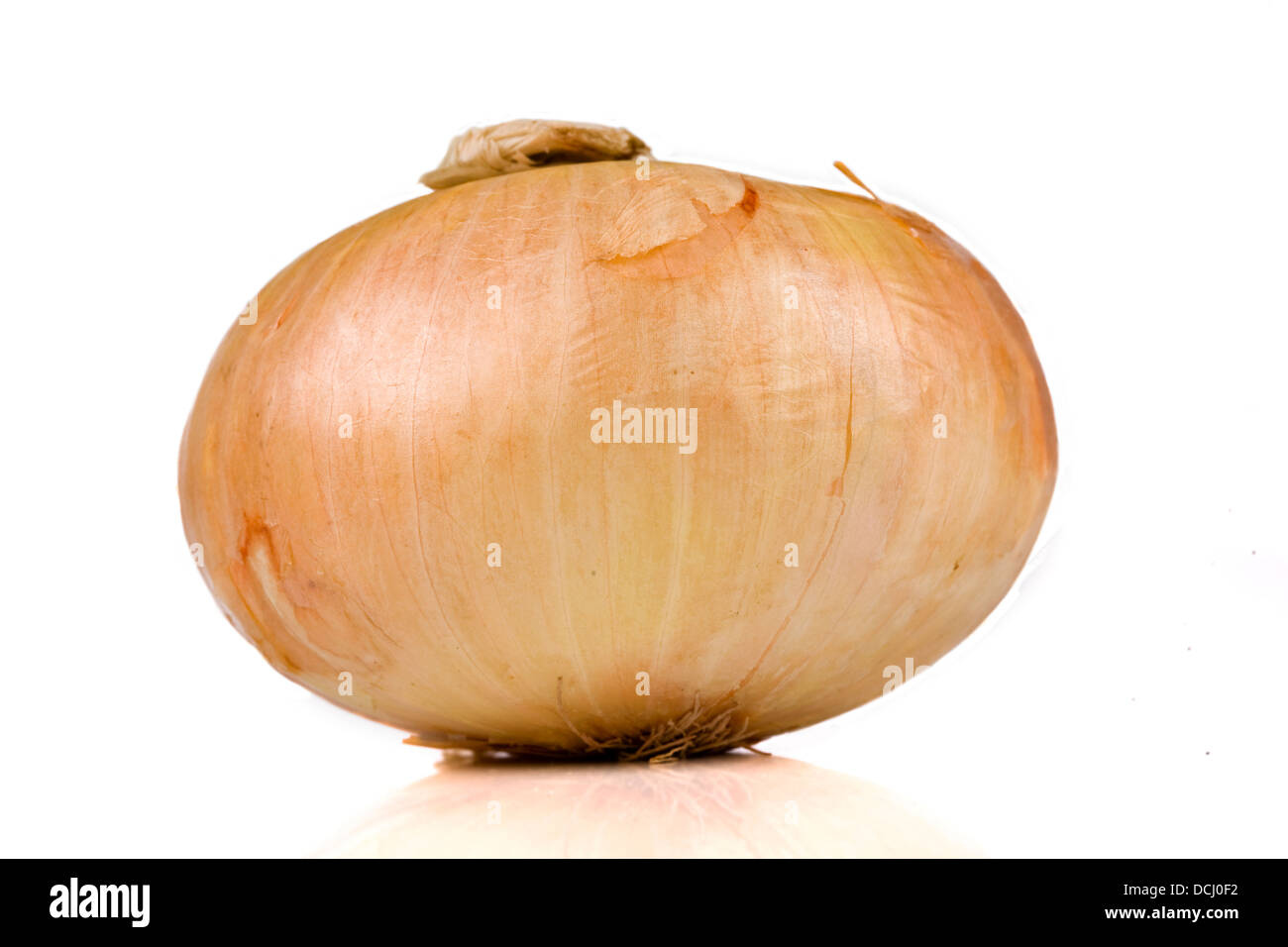 Vidalia sweet onion isolated on white Stock Photo