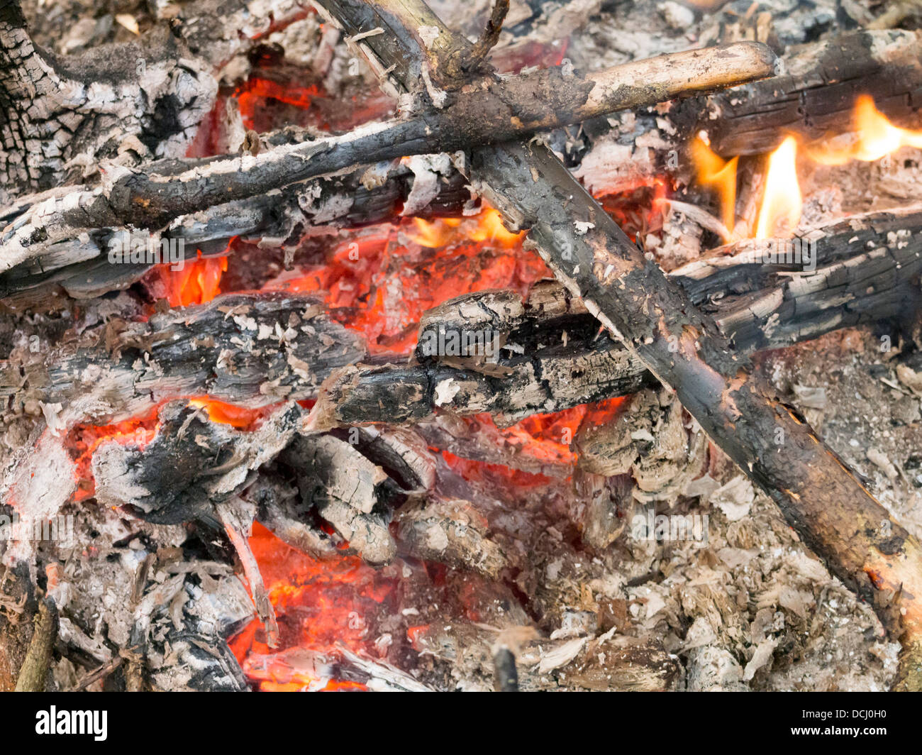 bonfire closeup with focus on front branches Stock Photo