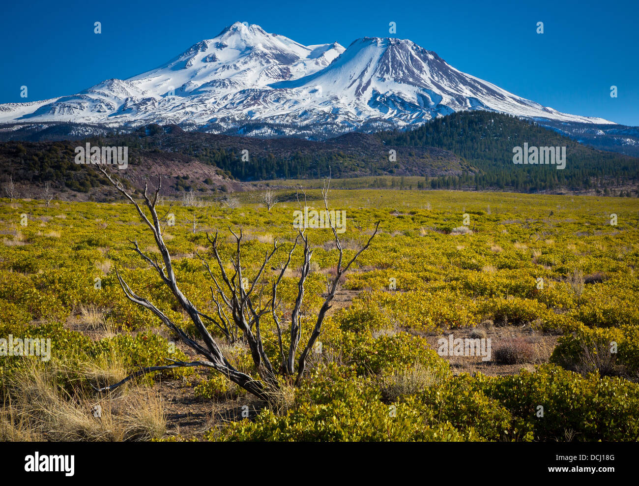 Mount Shasta is located at the southern end of the Cascade Range in Siskiyou County, California Stock Photo
