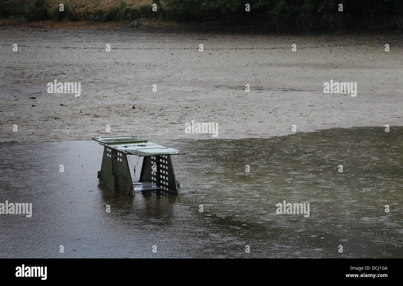 Kaufbeuren, Germany. 19th Aug, 2013. A live trap is empty at the drained Oggenrieder Weiher in Irsee near Kaufbeuren, Germany, 19 August 2013. It is being used to try to catch an alligator snapping turtle after an eight year old boy was seriously injured after a bite on his foot. Photo: KARL-JOSEF HILDENBRAND/dpa/Alamy Live News Stock Photo