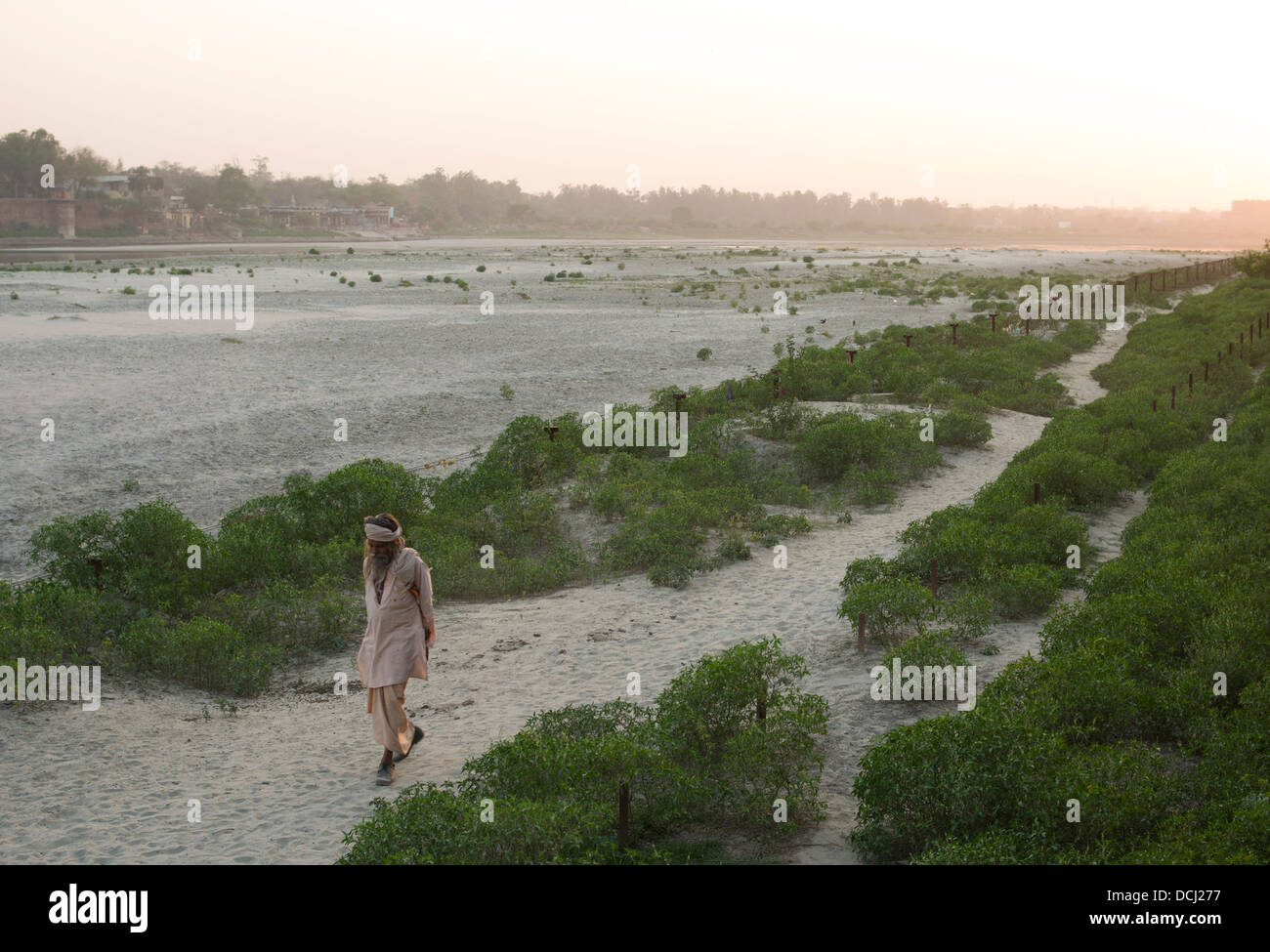 Elderly Indian man walk on the banks of the Yamuna River at dusk / twilight. Agra, India Stock Photo