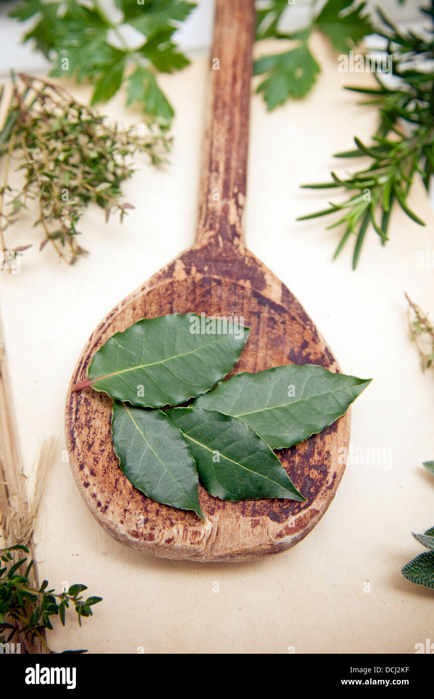 Thyme and bay leaves hires stock photography and images Alamy