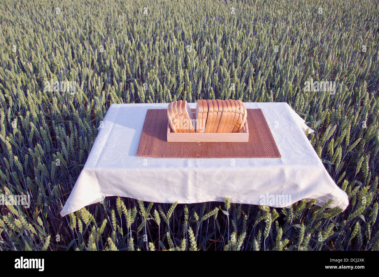 table with white bread in summer farm wheat field Stock Photo
