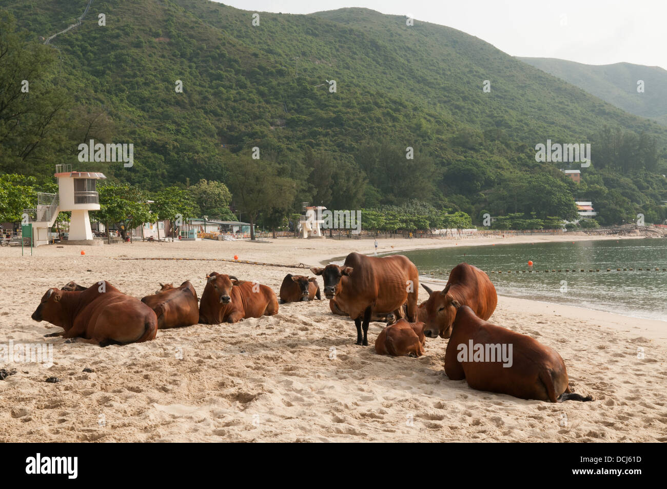 gay slike from Francisco mui wo gay beach