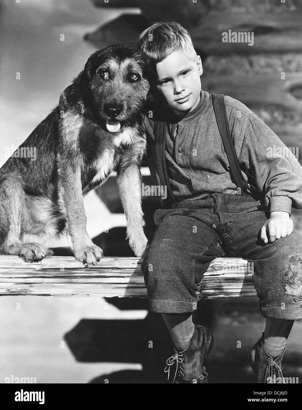 SHANE - Brandon de Wilde - Directed by George Stevens - Paramount, 1953. Stock Photo