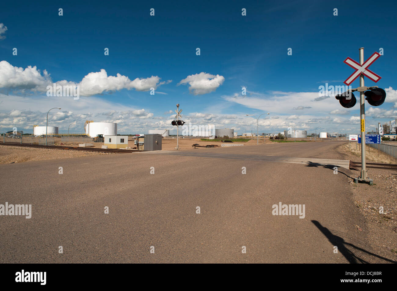 Saskatchewan north farming food industry field fields rapeseed canola