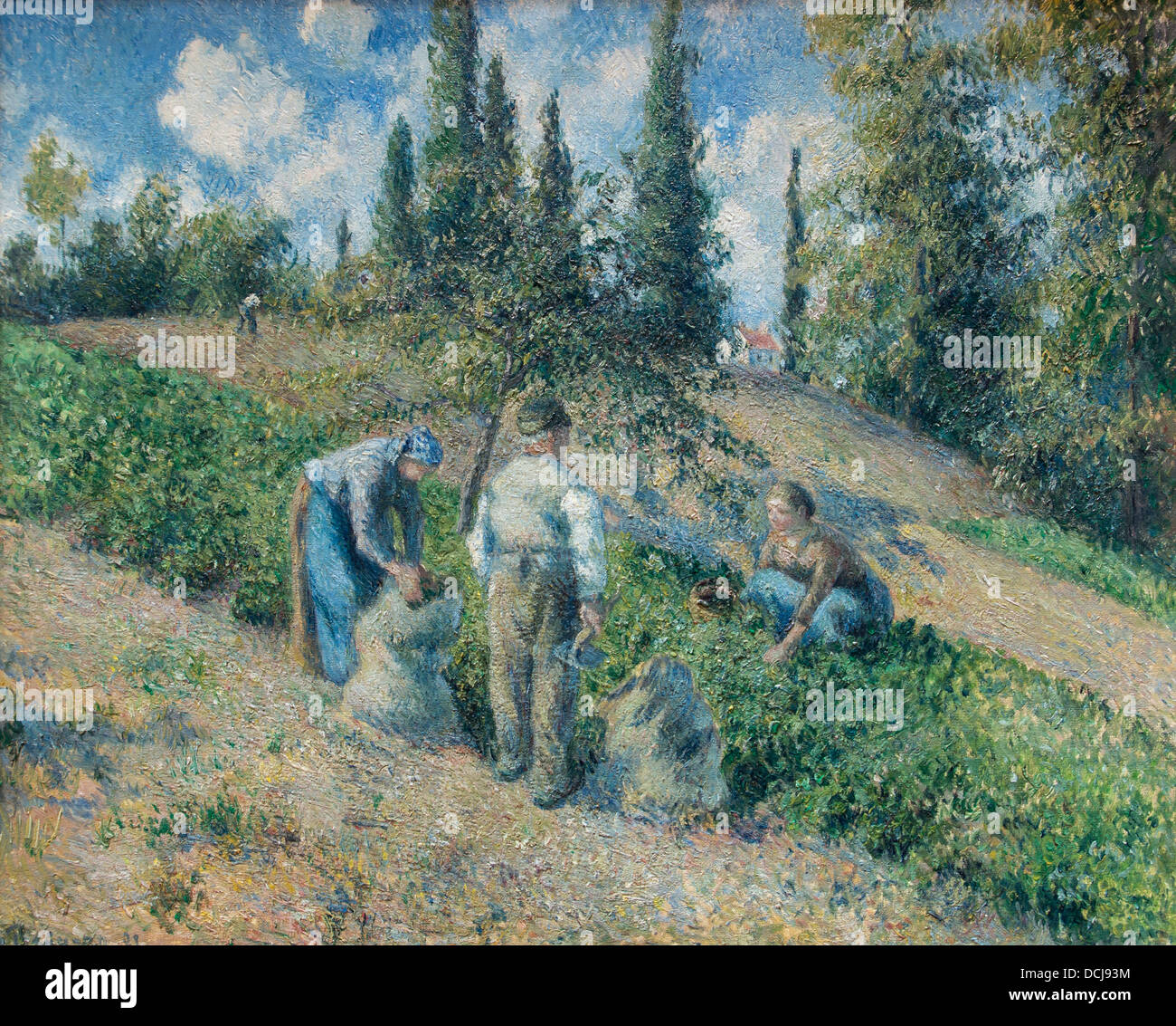 19th century  -  The Potato Pickers (Harvest, Pontoise) - Camille Pissarro (1881) - Oil on canvas - Met Museum of Art New York Stock Photo