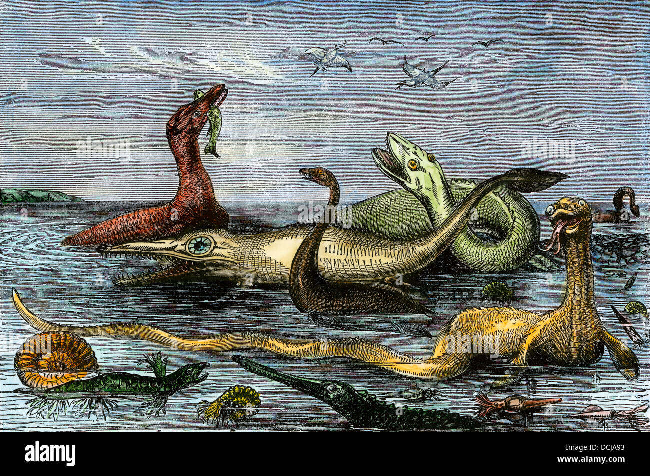 Dinosaurs of the submerged Kansas plains in their last struggles, a 19th-century depiction. Hand-colored woodcut Stock Photo