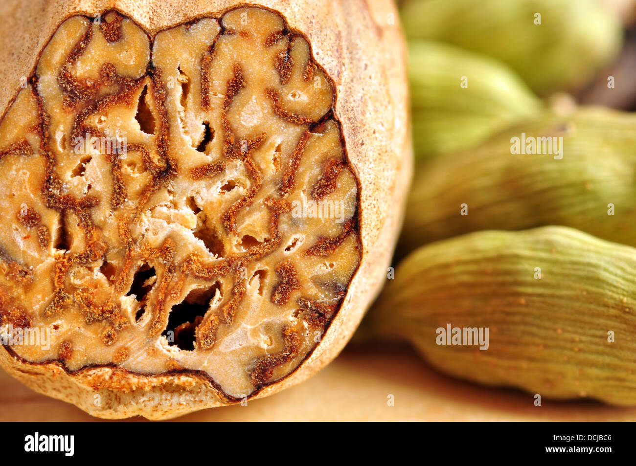 Nutmeg and cardamon Stock Photo Alamy