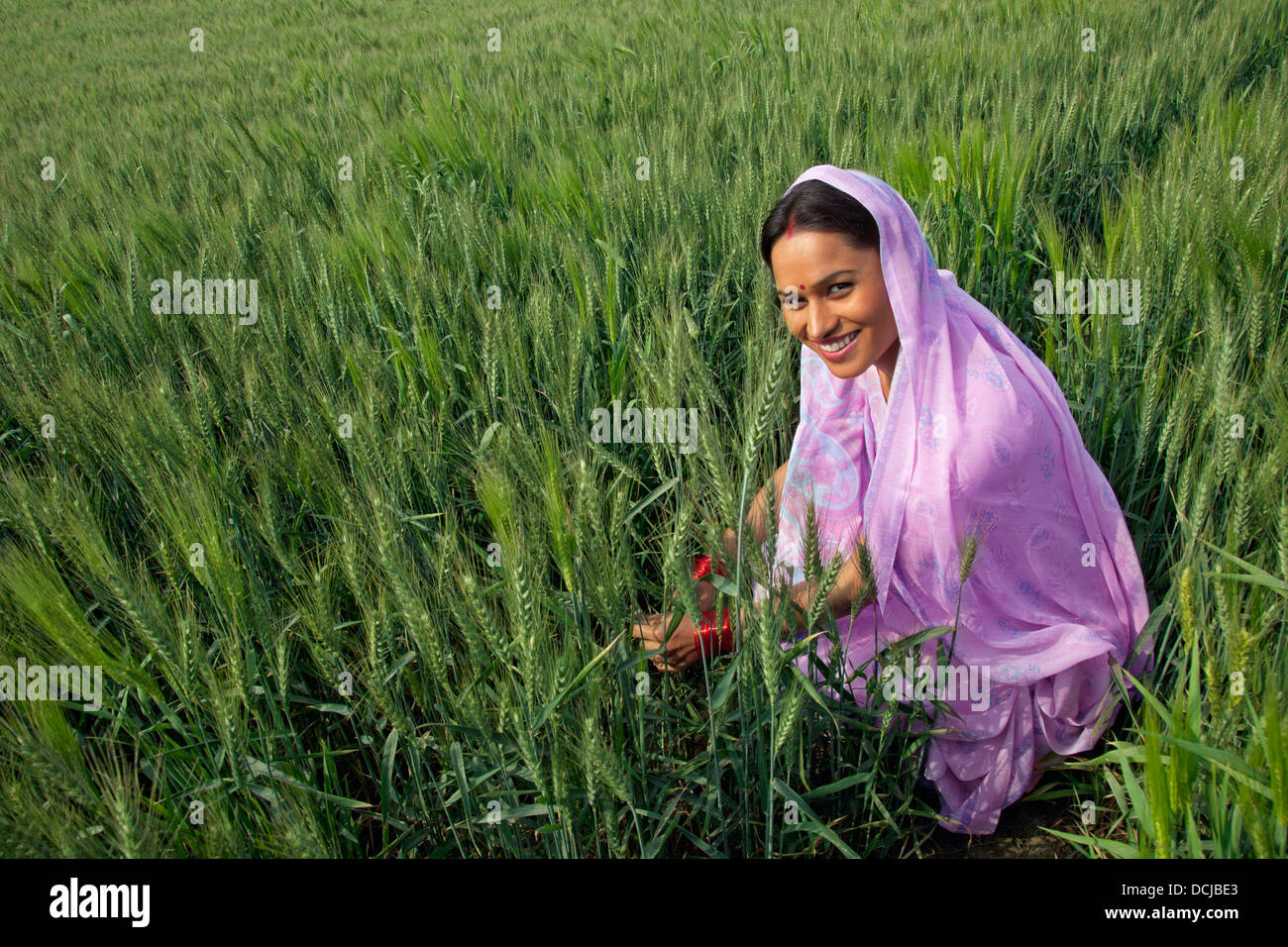 Portrait of an Indian female farm worker working in the field Stock ...