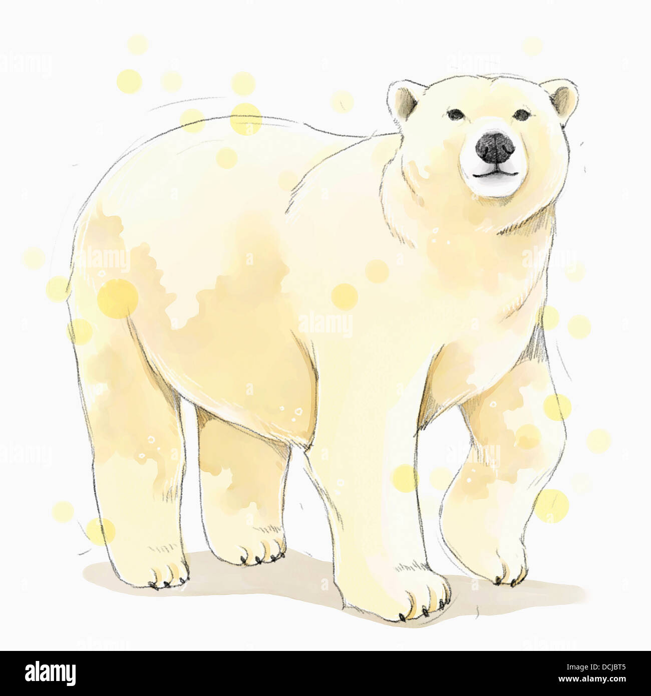Polar Bear Illustration
 illustration painting of polar bear Stock Alamy