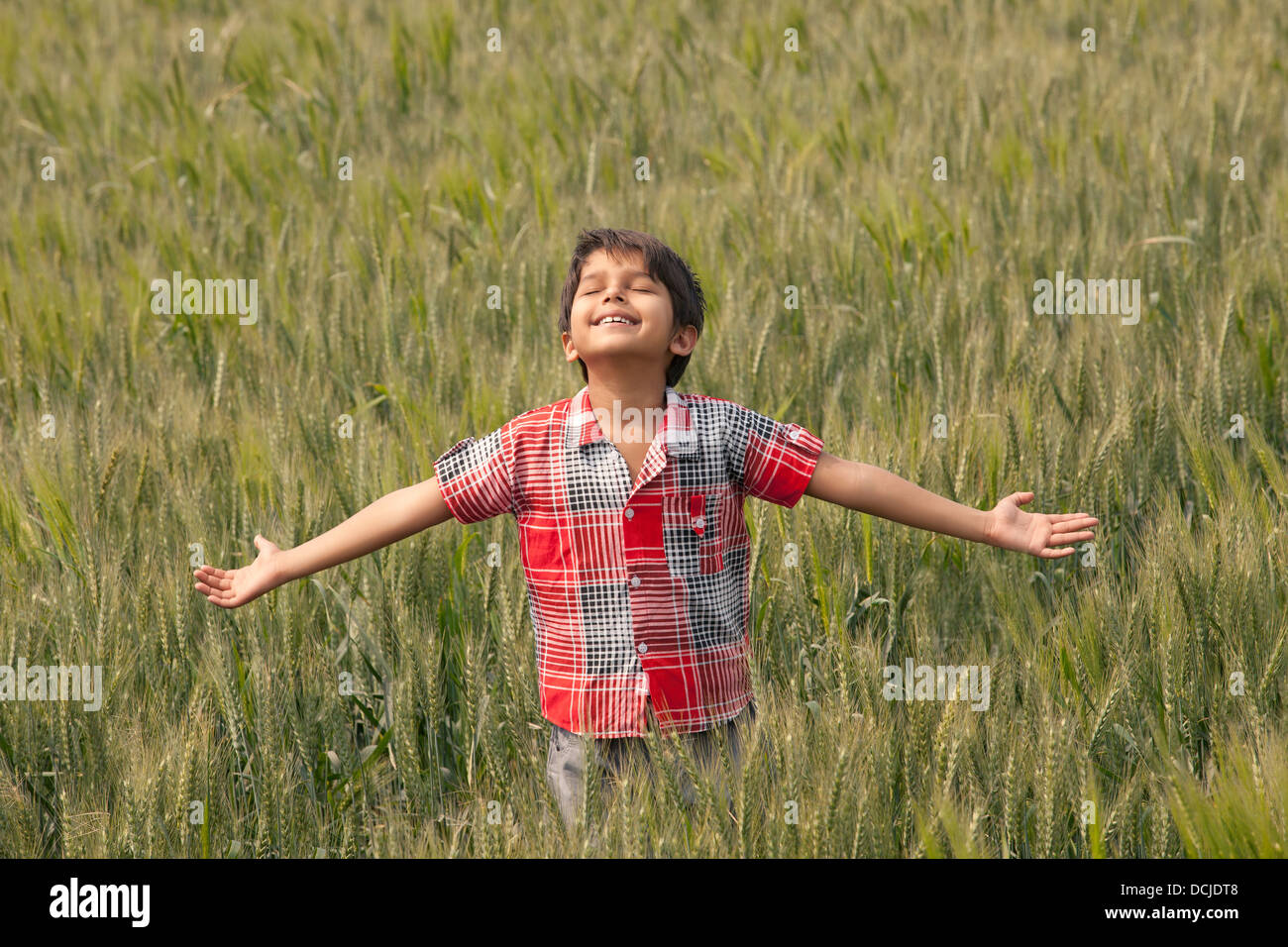Little toddler standing in wheat field with arms out Stock Photo