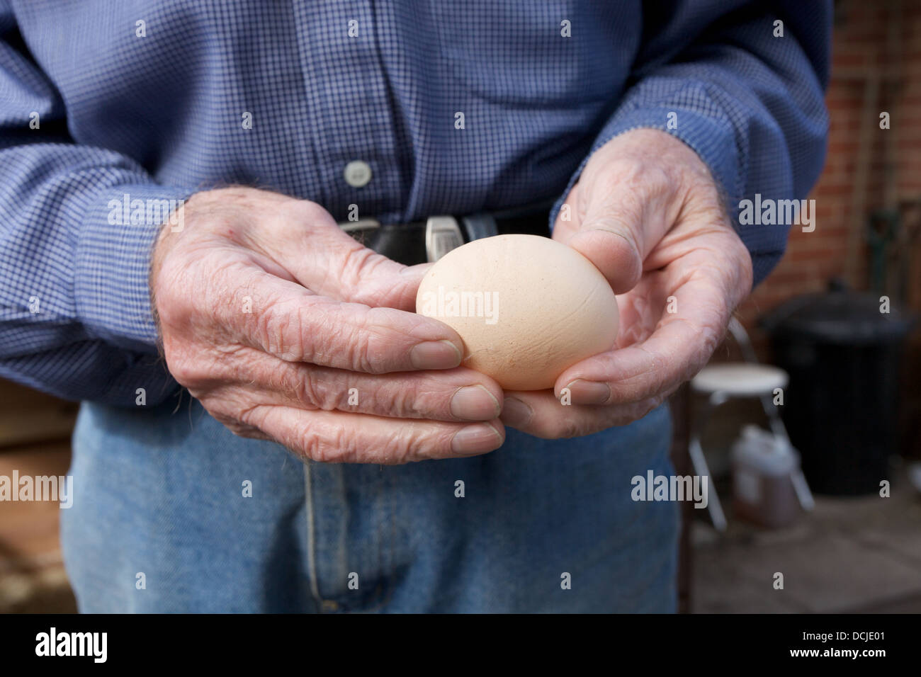 A man holding a feshly laid egg Stock Photo