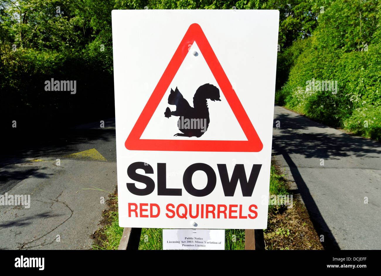 Slow Red Squirrels Please Drive Carefully Safety Sign - 1mm Plastic Sign (300mm X 200mm - View #11