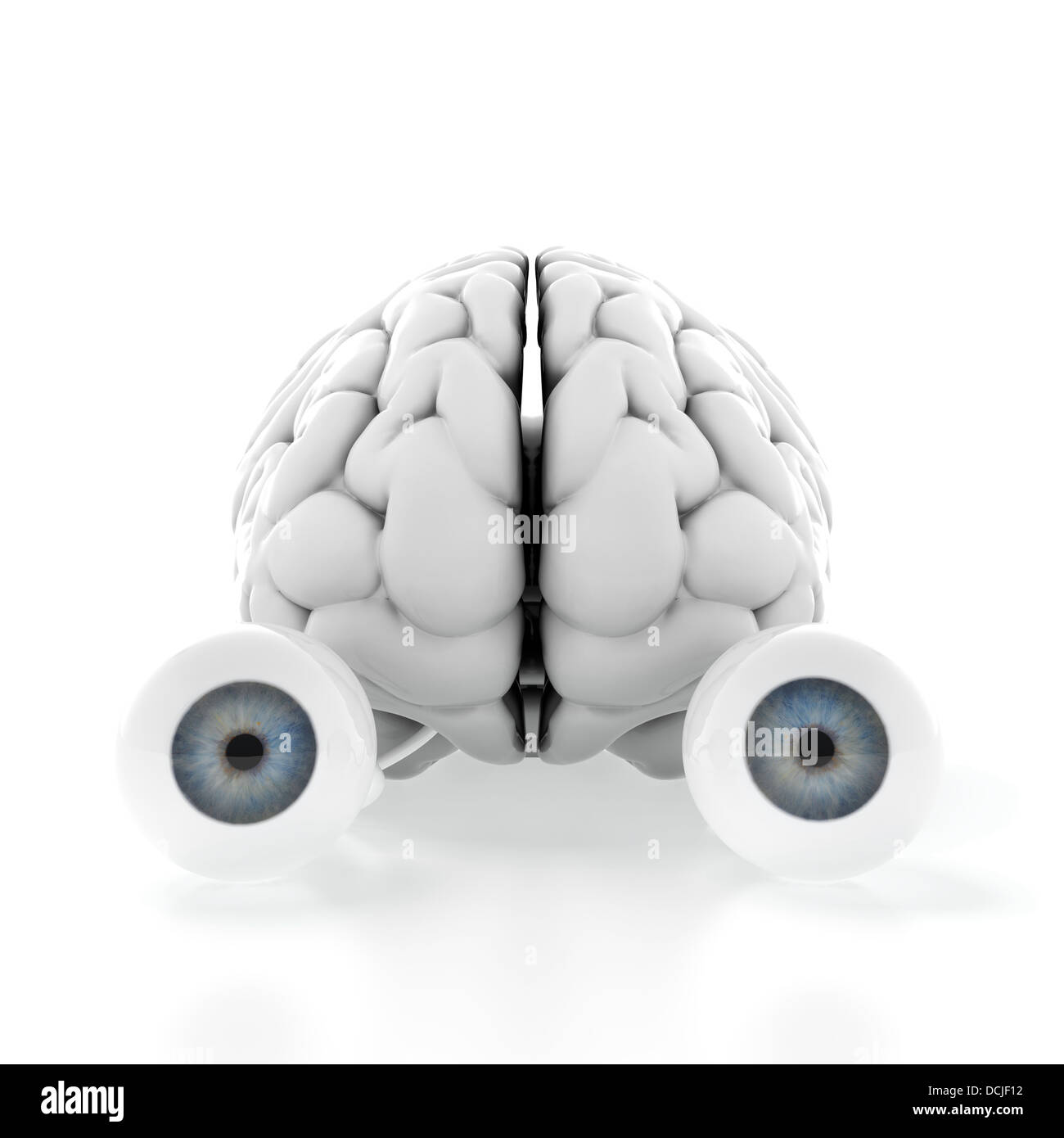 3d render of brain with eyes on white background Stock Photo - Alamy