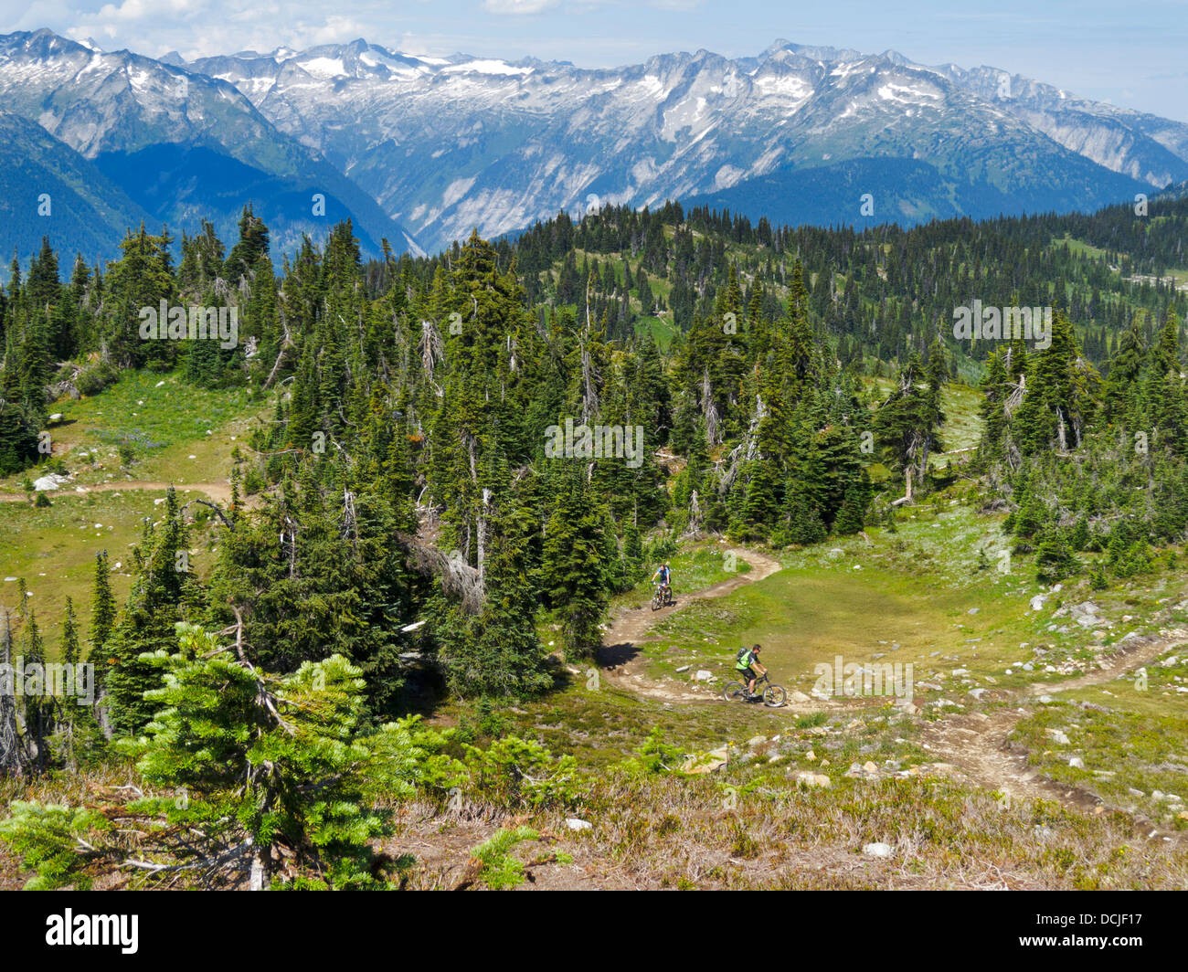 Two mountain bikers on Frisby Ridge, a high alpine mountain biking trail near Revelstoke, British Columbia, Canada. Stock Photo