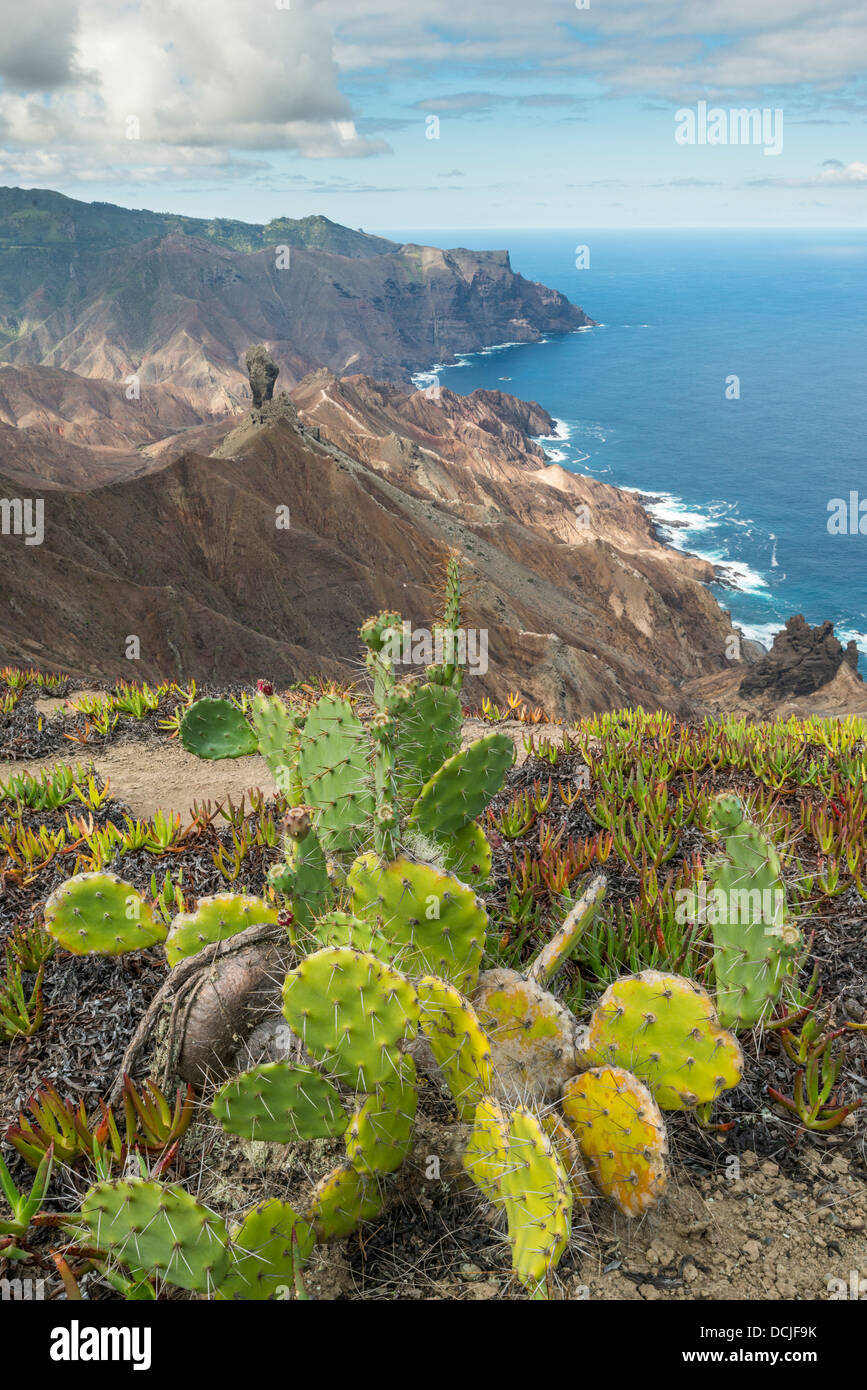 Cactus or Tungi as the locals call it and Lot's Wife looking South East on the island of St Helena in the South Atlantic Ocean Stock Photo