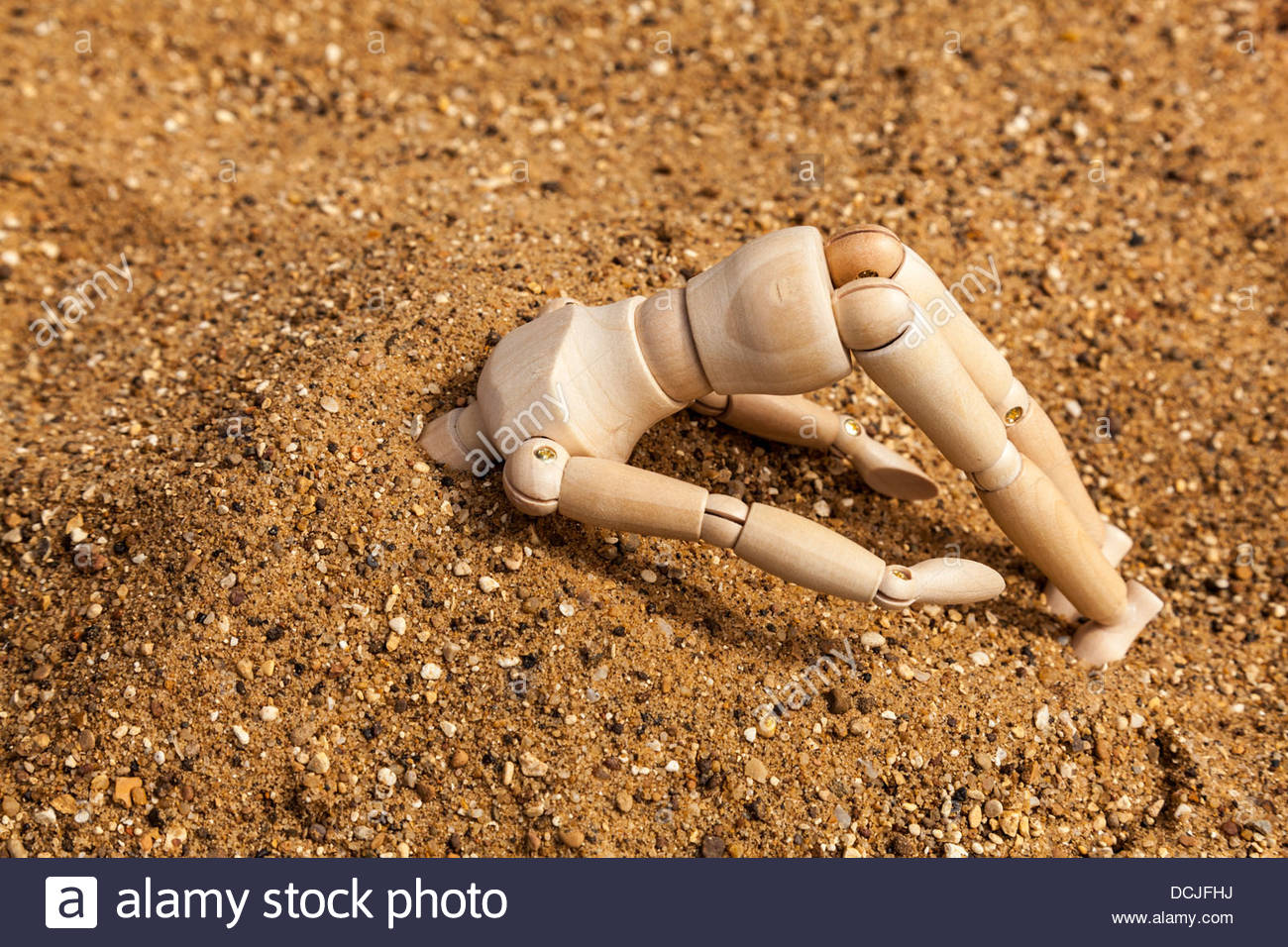 Bury Your Head In The Sand Stock Photos & Bury Your Head In The Sand