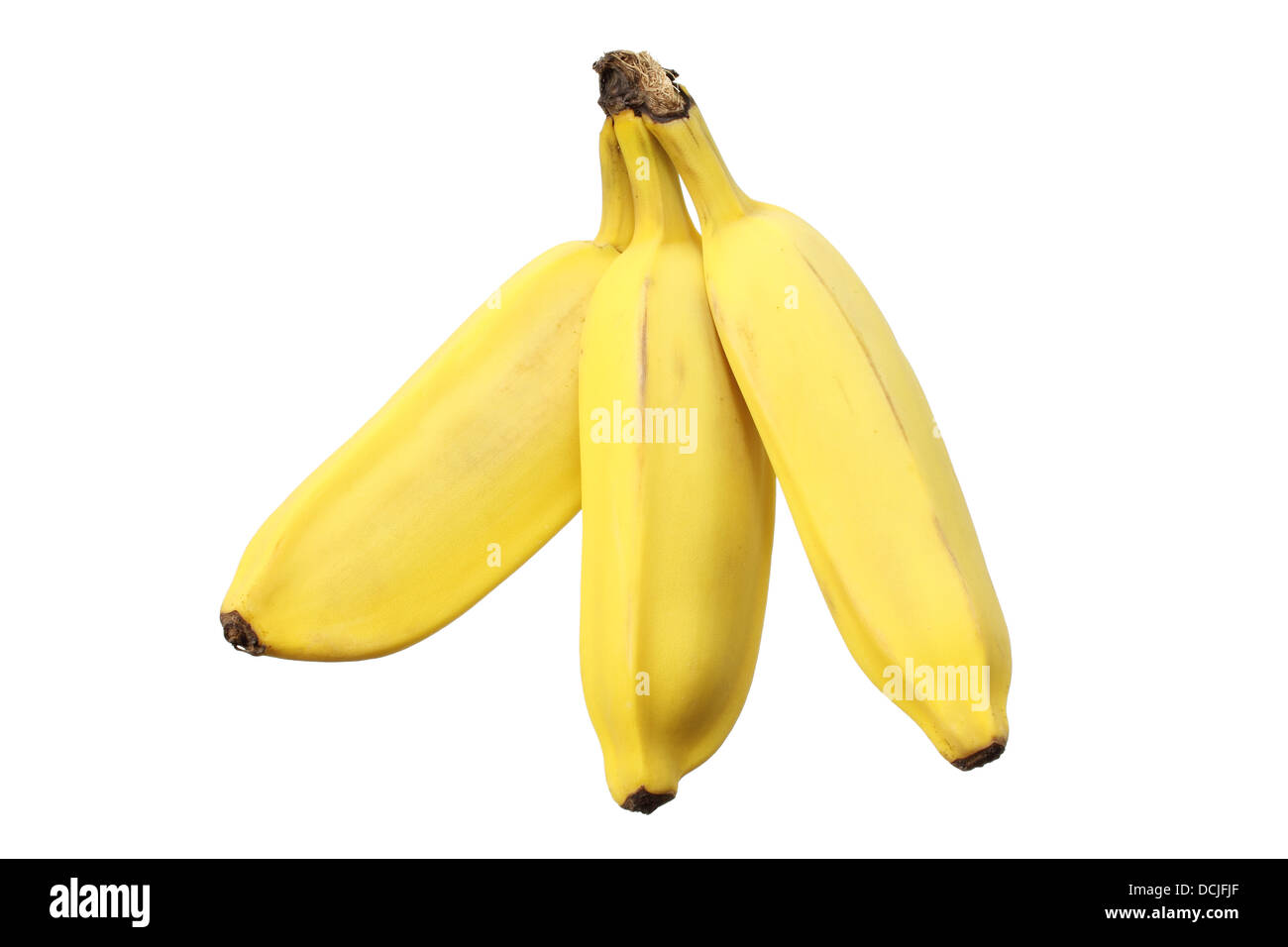 Sugar Bananas Stock Photo