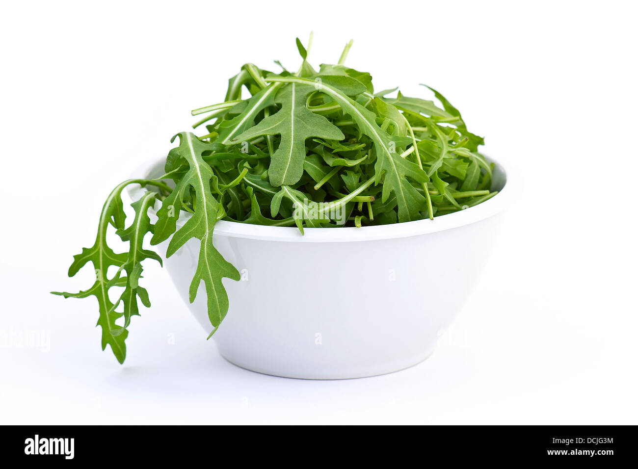 Руккола. Зелень руккола. Листья рукколы. Руккола радичио. Руккола вифорс.