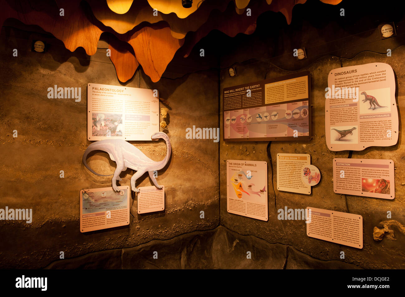 Cango caves hi-res stock photography and images - Alamy