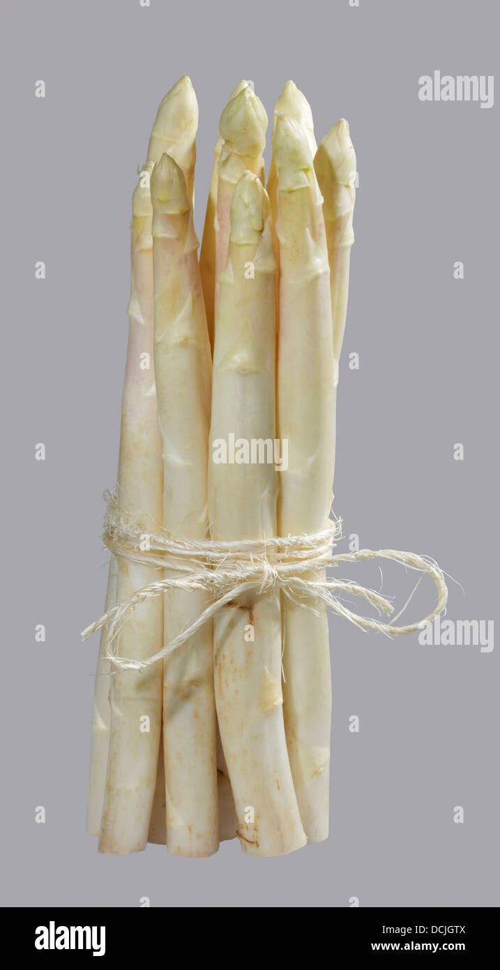 bunch of white asparagus vegetable in grey back Stock Photo