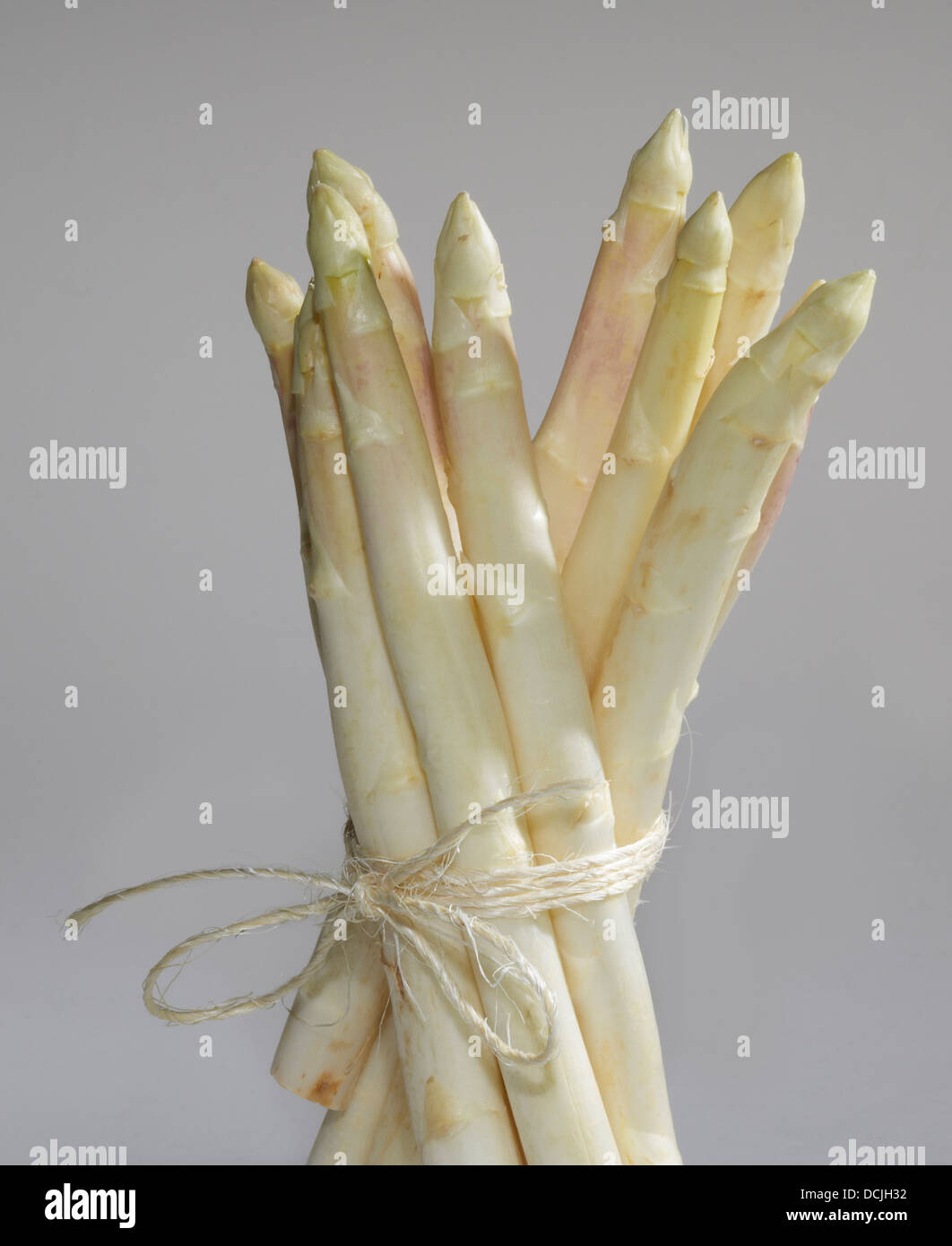 bunch of white asparagus vegetable in grey back Stock Photo