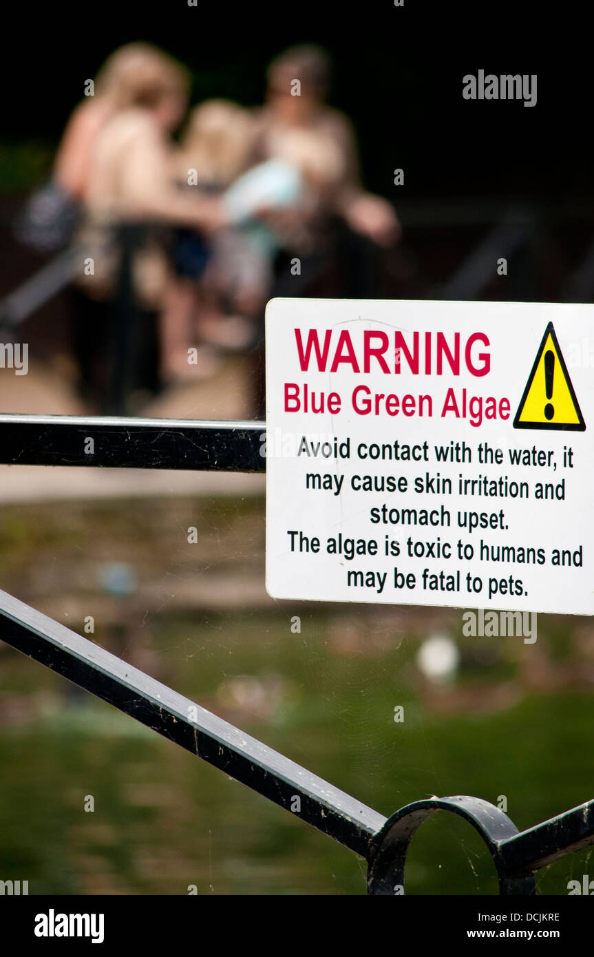 Blue Green Algae warning sign Stock Photo - Alamy