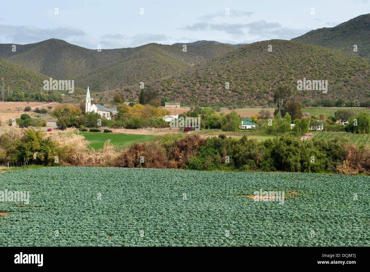 Farmland near Oudtshoorn, South Africa Stock Photo
