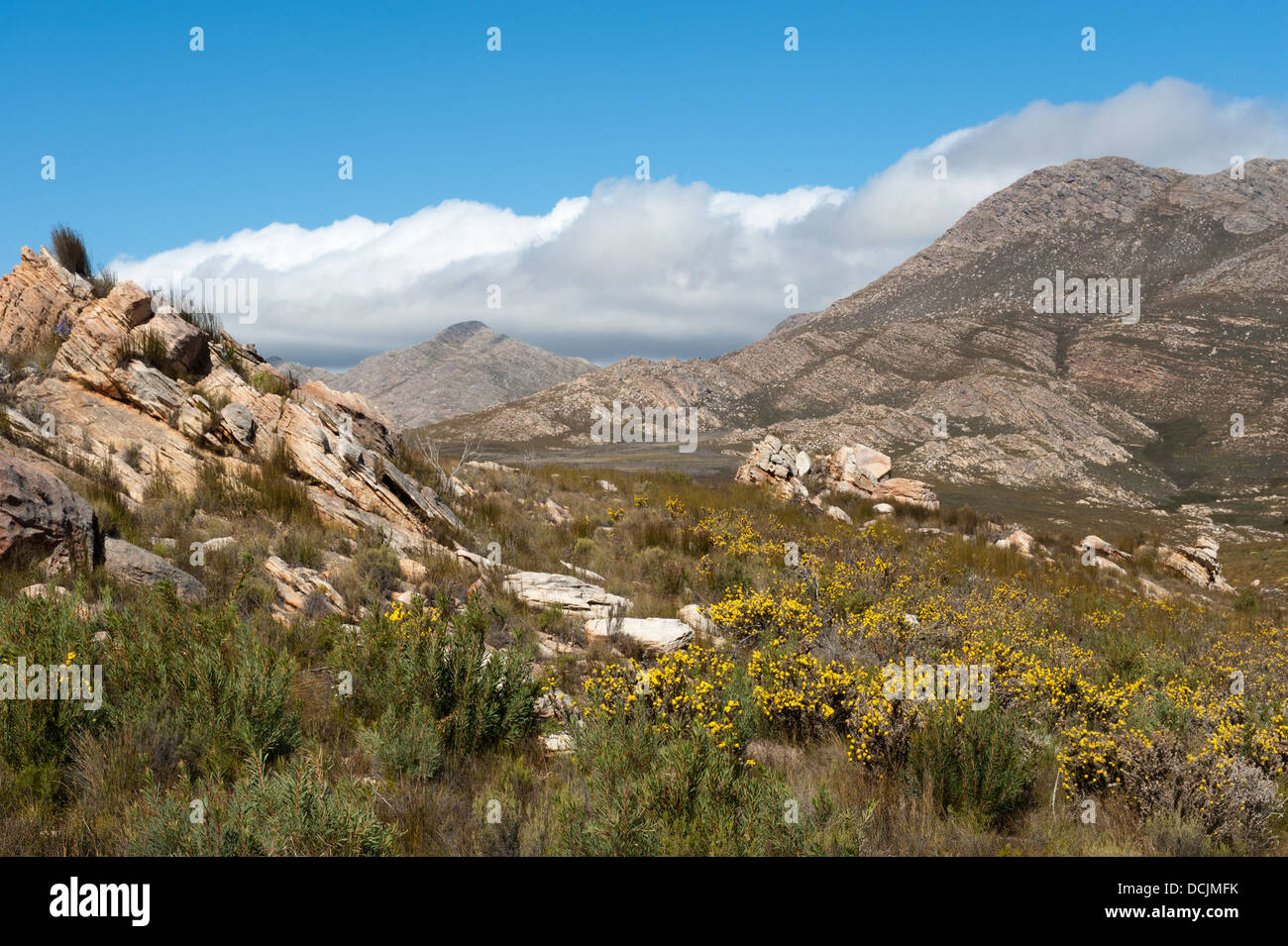 Swartberg Pass over the Swartberg Mountains, Oudtshoorn, South Africa Stock Photo
