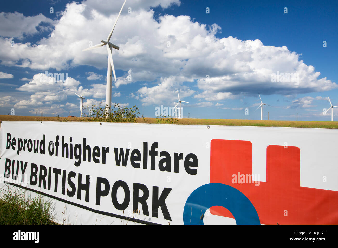 A pig farm powered by a wind turbine near Easington, Yorkshire, UK. Stock Photo