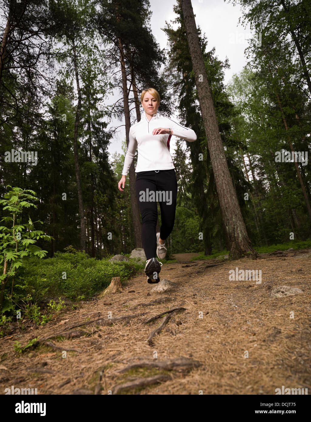 Woman running in the woods Stock Photo - Alamy