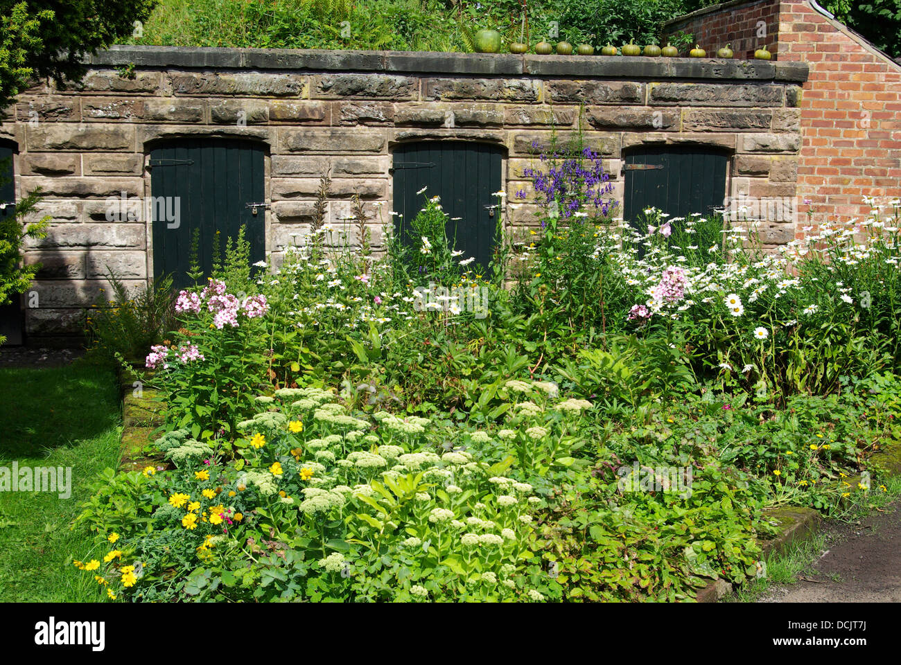 Multicolored flower border hires stock photography and images Alamy