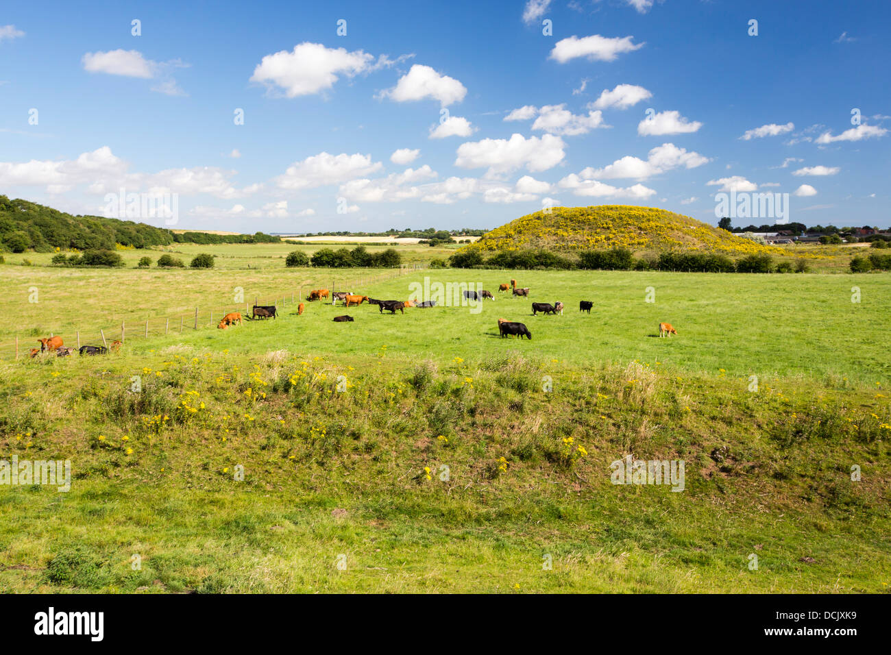 Skipsea Castle, seat of the Lords of Holderness, in Skipsea, Yorkshire