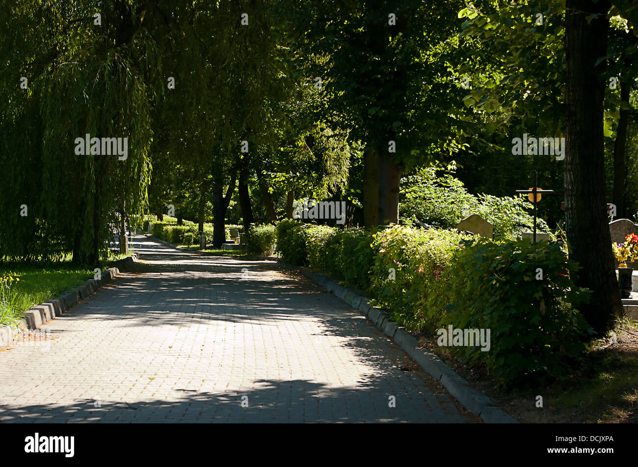Cemetery road Stock Photo Alamy