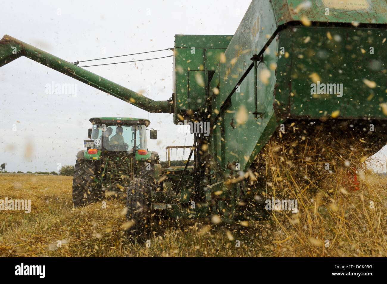 GERMANY old John Deere combine harvester 360 from 1968 pulled by tractor harvesting oats at organic farm Stock Photo
